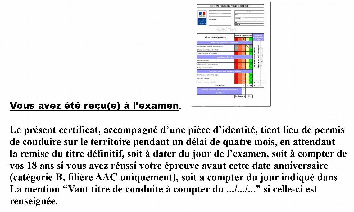 Permis provisoire 1